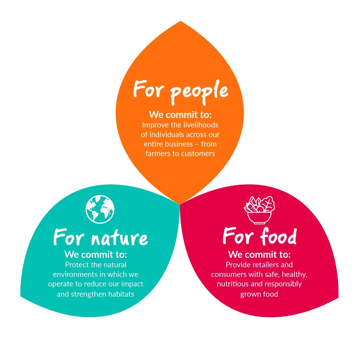 The Dole Way Graphic
