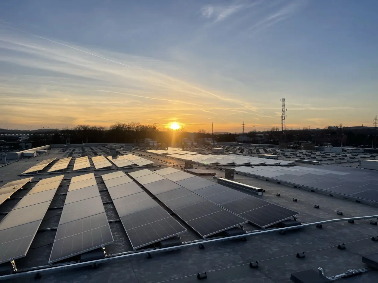 Climate action picture