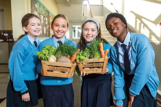 Educating Customers image