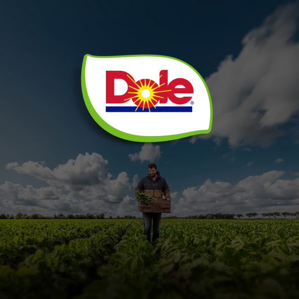 Local Operator Image