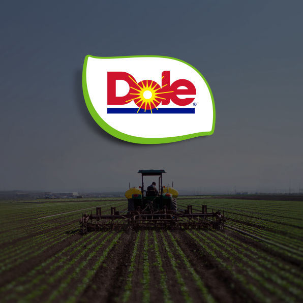 Local Operator Image