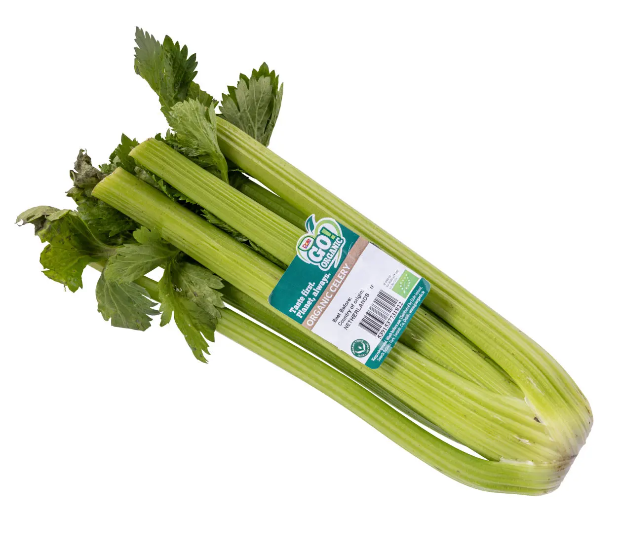 Celery image