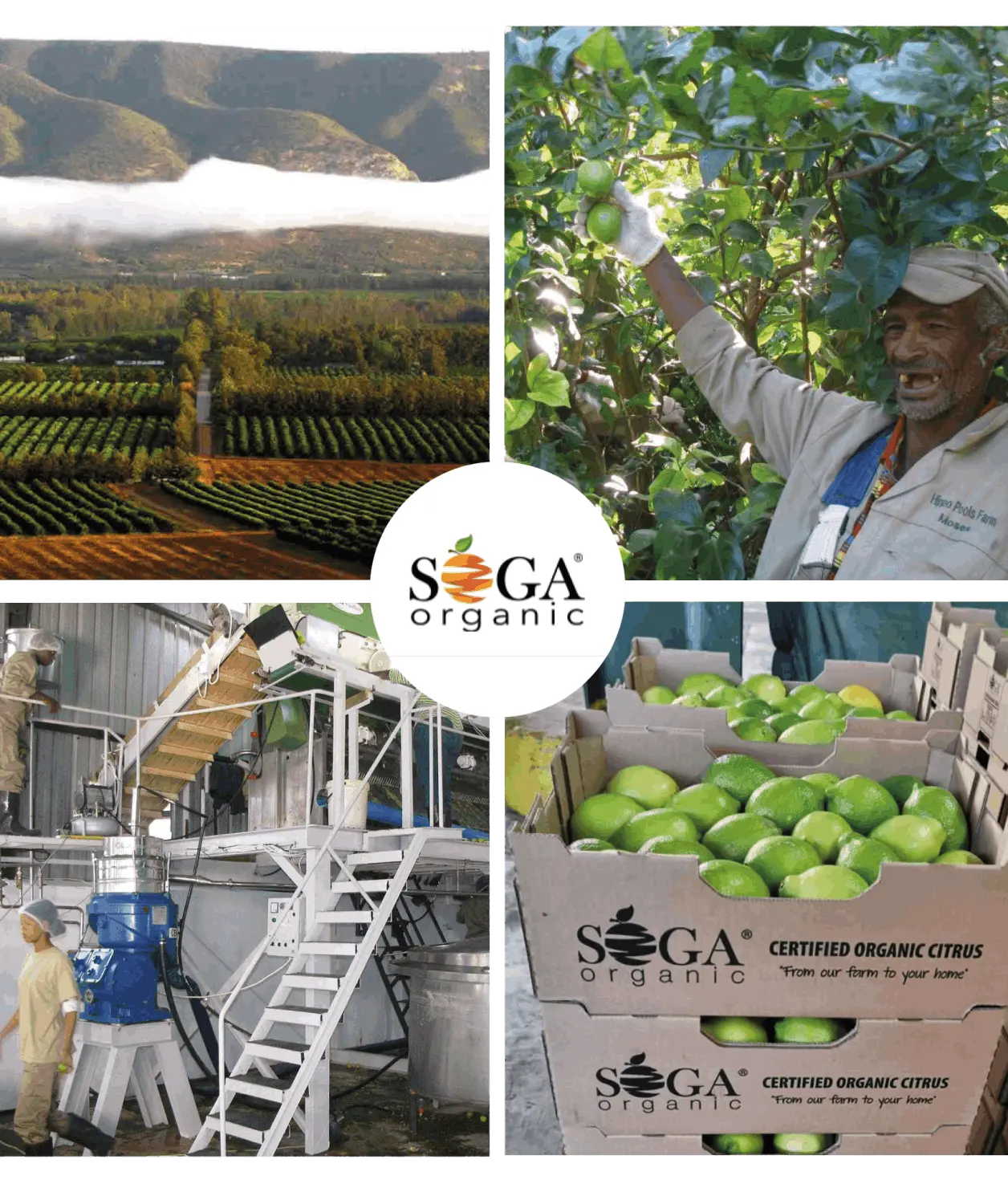 SOGA Growers